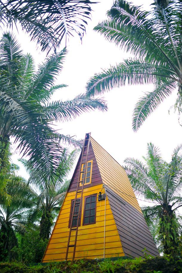 jelawangpipe&amp;park%20(2)-7d1640d5